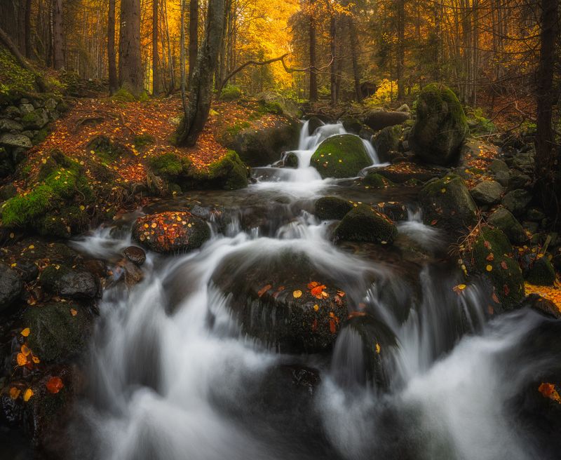 water waterfall autumn  Into the woodland  фото превью