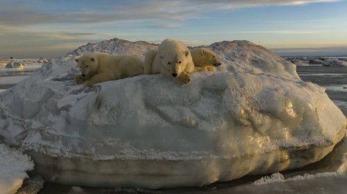 Отдых на закате...