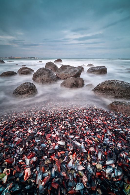 bulgaria, sea, landscape, slow, bivalvia, beach  фото превью