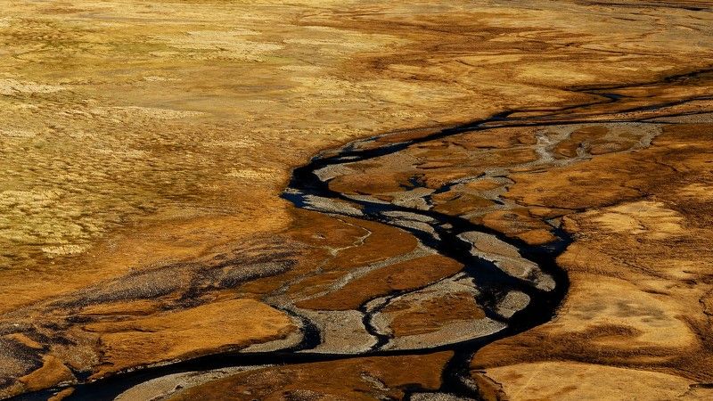 Алтай, Сибирь, Россия Долина тысячи листвениц фото превью