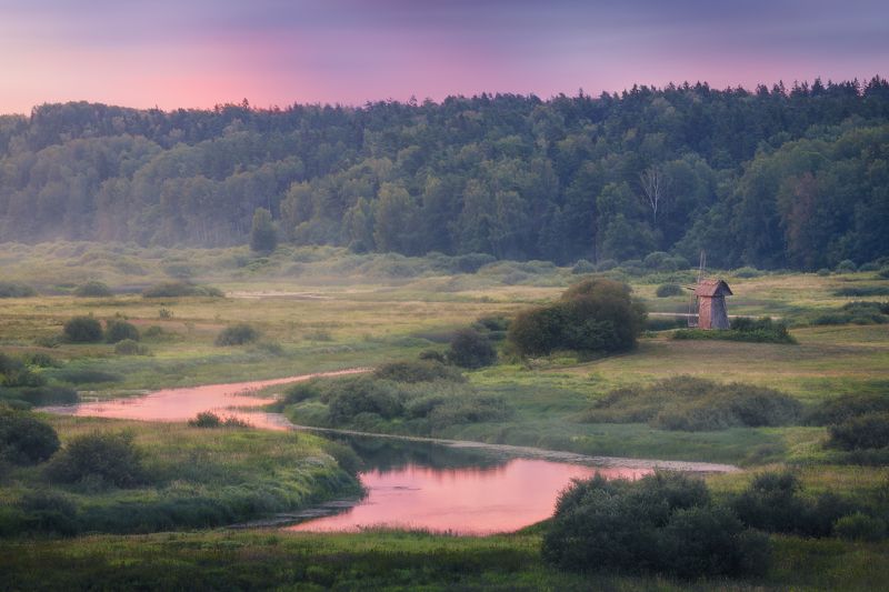 пейзаж, рассвет, пушкинские горы  фото превью