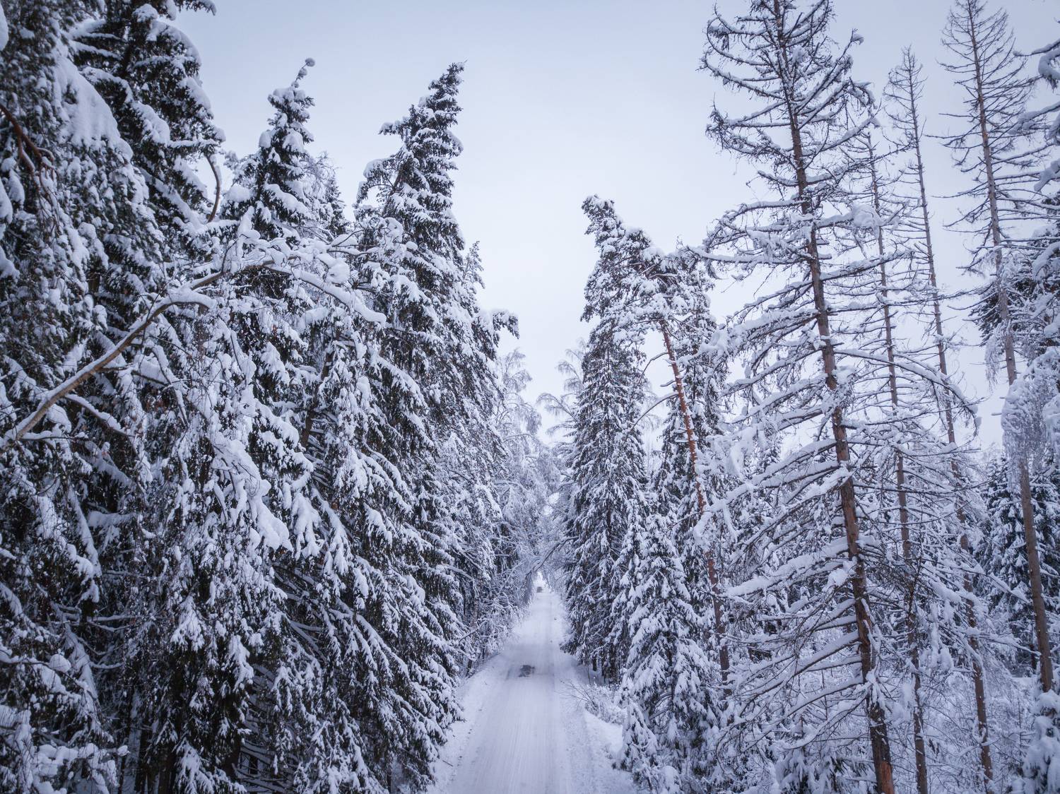 , Сергей Фаренюк