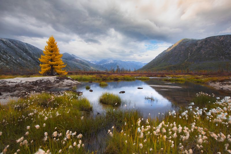 Колыма, Магадан, озеро Джека Лондона, осень, пейзаж, тундра, горы Осенняя долина реки  Пурга фото превью