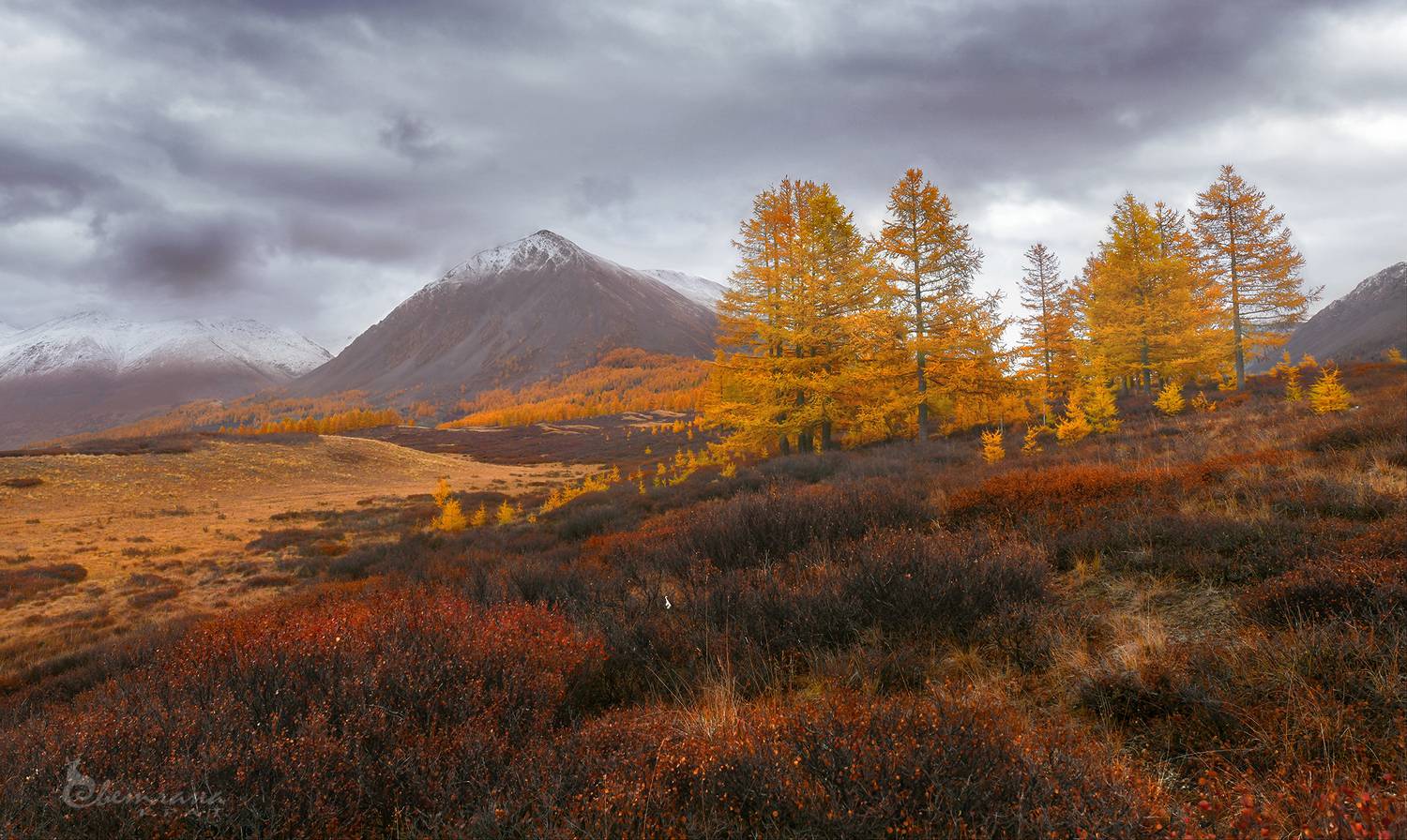 , Светлана Крат