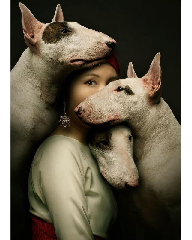 фото превью