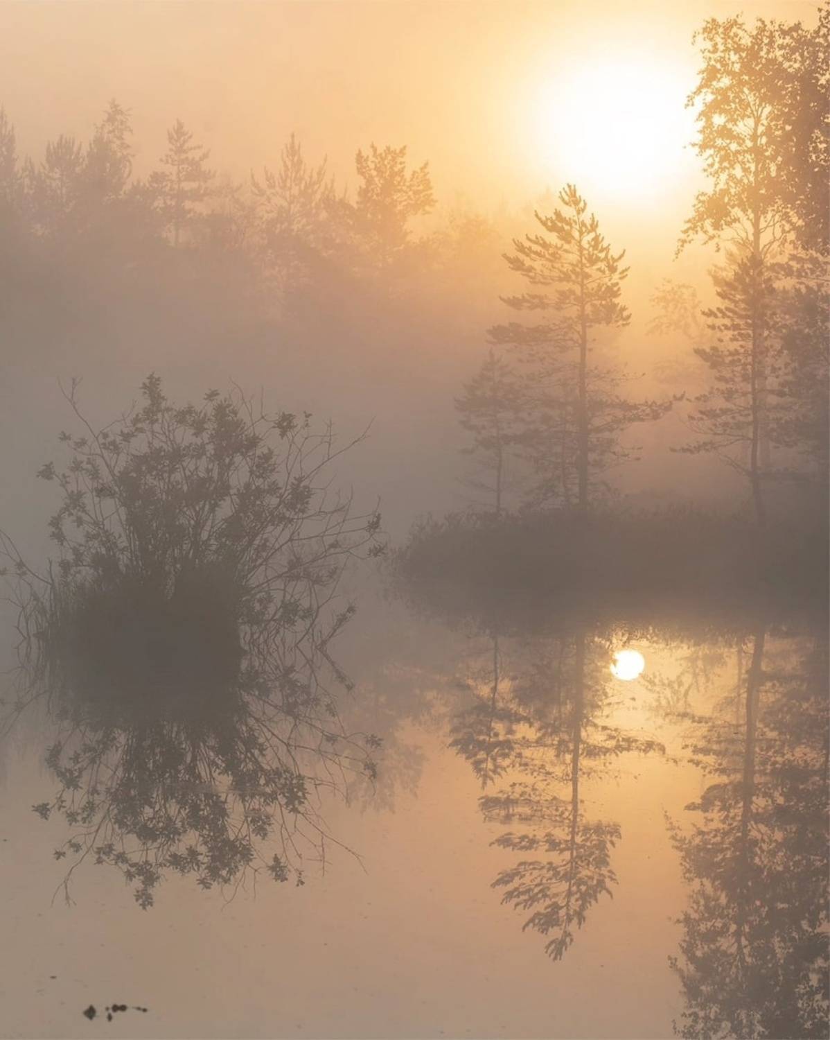 , Петр Косых