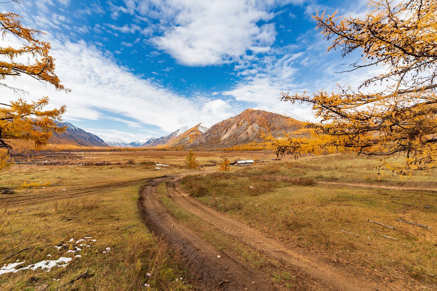 , Буянов Илья