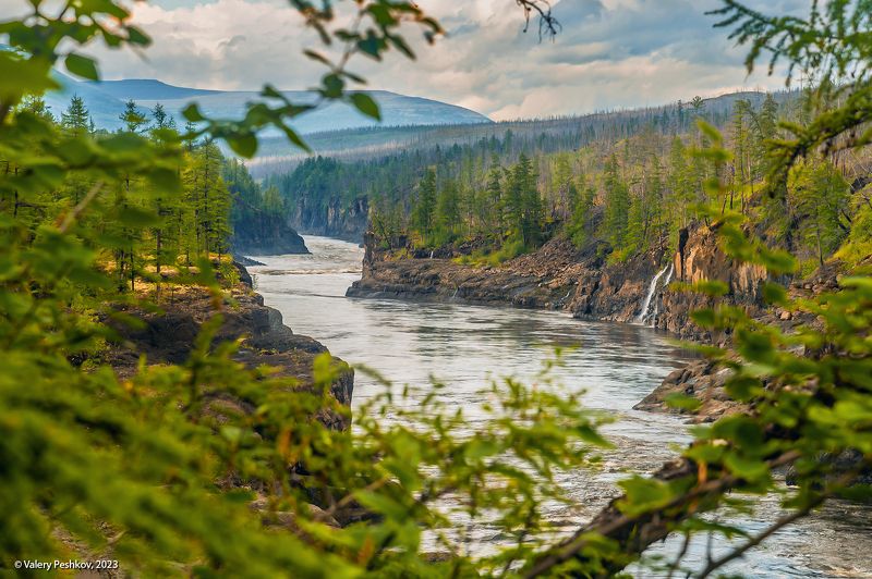 большой курейский водопад, курейка, тропа, плато путораны, каньон, скалы, лиственницы Pro путь к Большому Курейскому фото превью