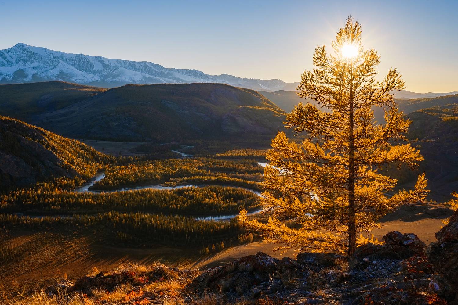 , Межин Сергей