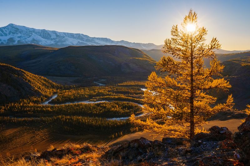 Вечер над Чуей фото превью