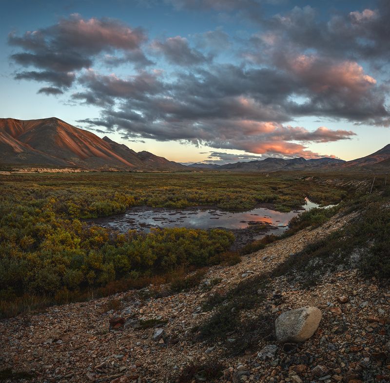 Чукотка 2023 фото превью