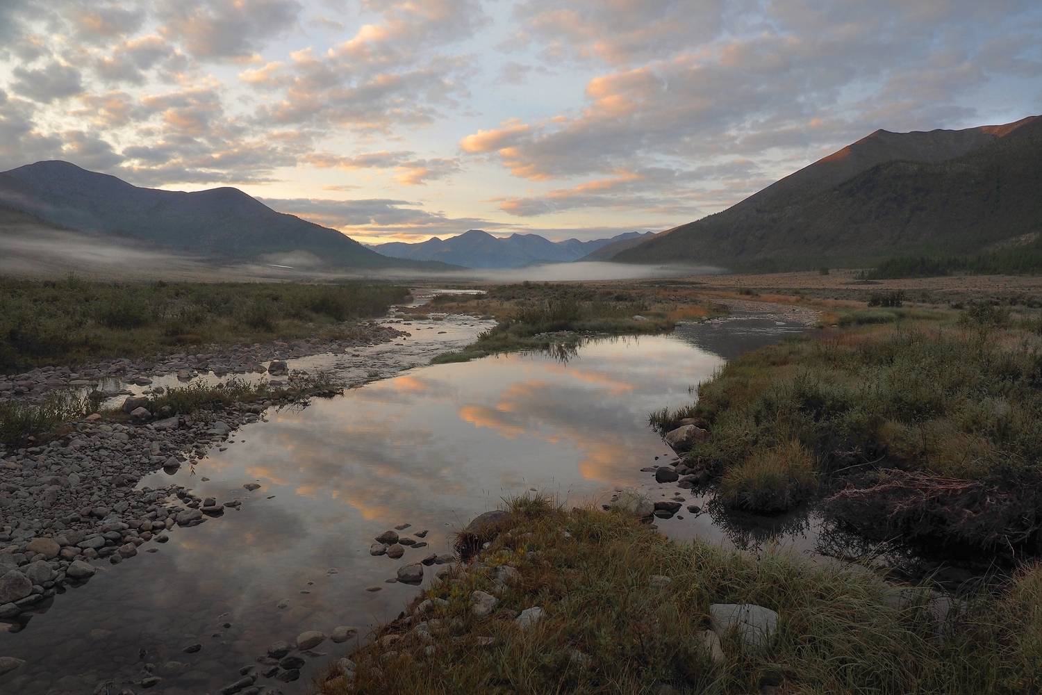 , Александр Попов