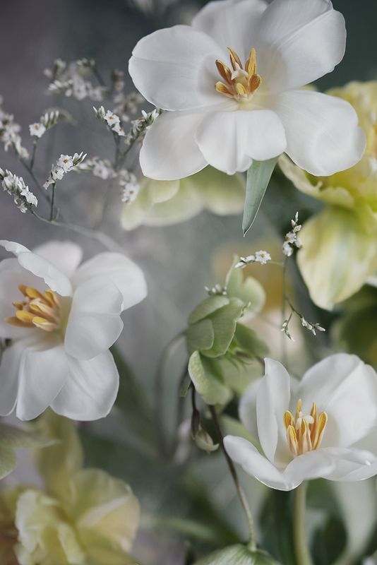 Весна фото превью