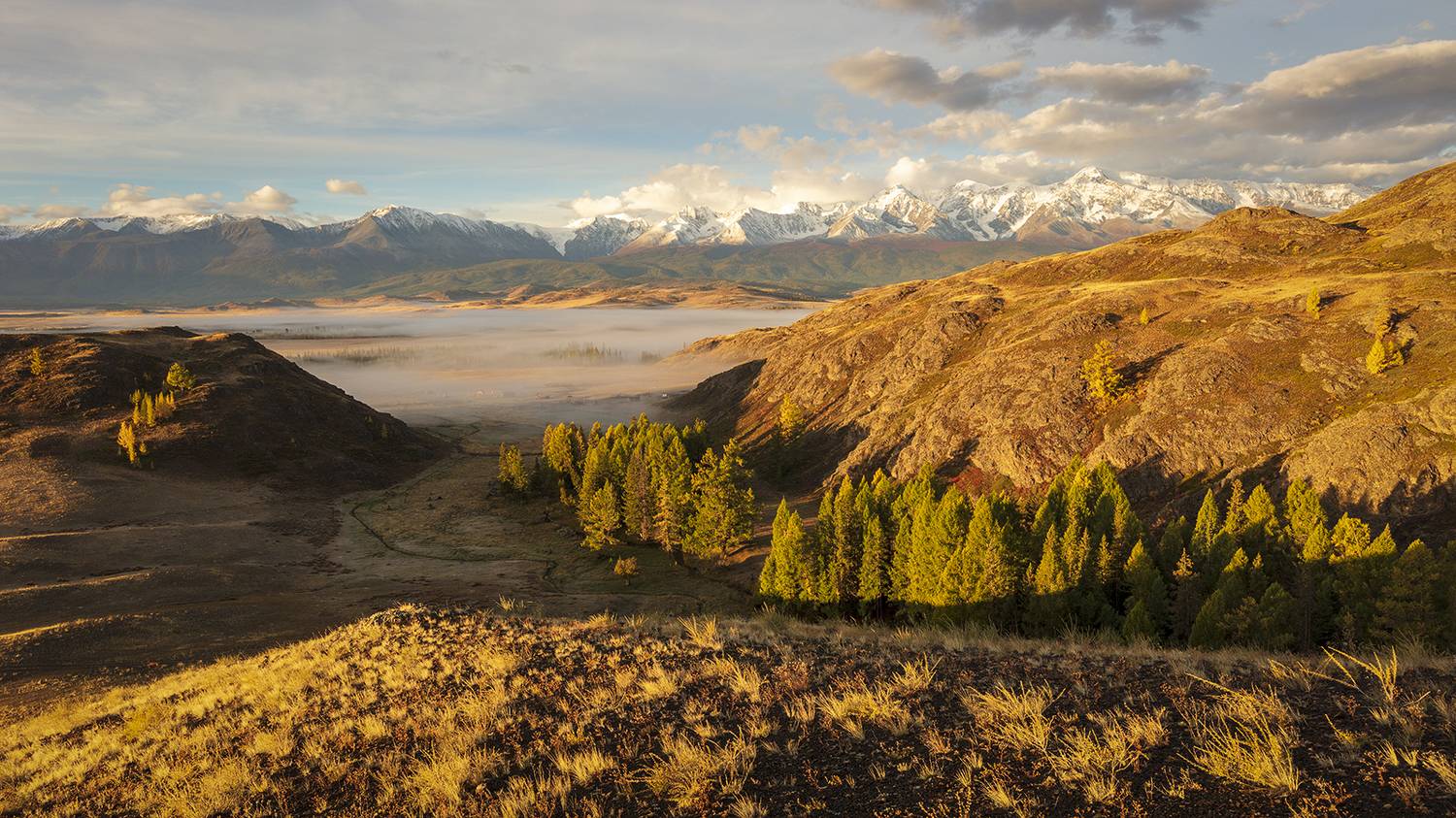 россия, алтай, горный алтай, курай,  чуя, туман, горы, пейзаж,, Сергей Шульга
