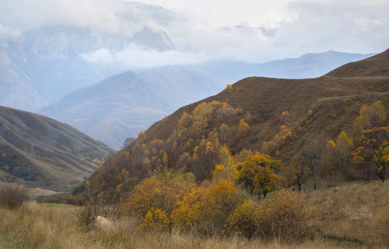 В золотом убранстве фото превью