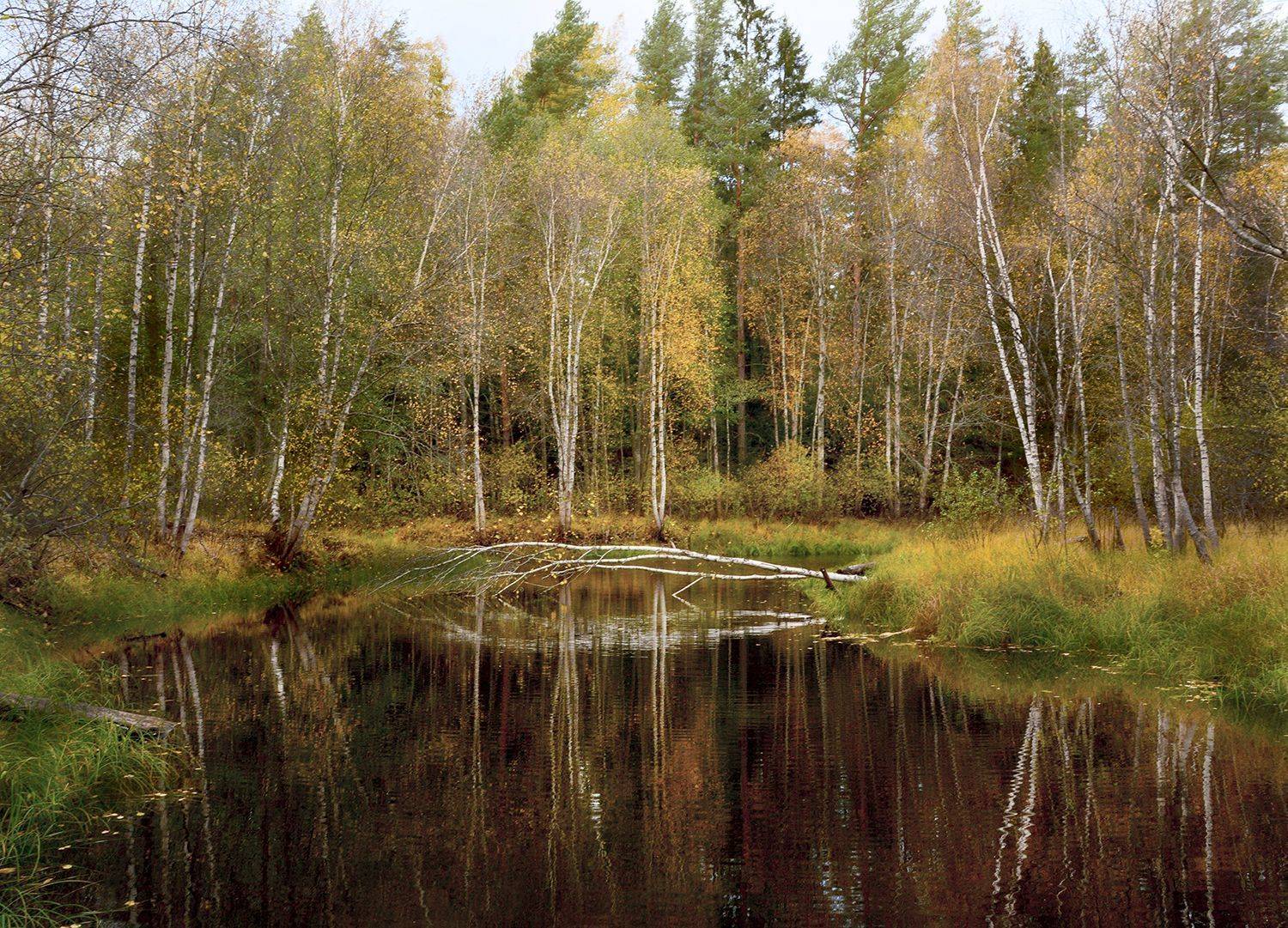 , Волоцков Александр
