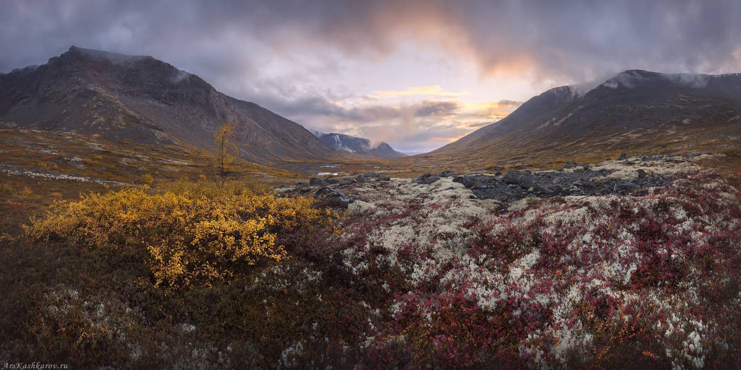 хибины, кольский полуостров, хибинские тундры, арктика, малая белая, мурманская область, осень в тундре, Арсений Кашкаров