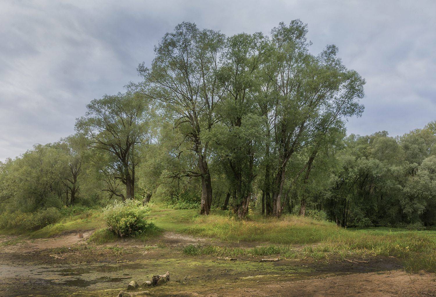 , Волоцков Александр