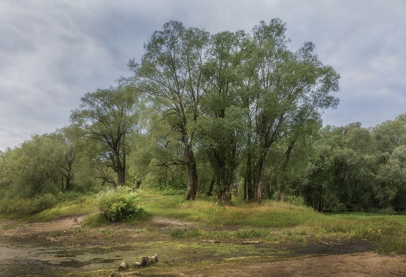 на исходе лета фото превью