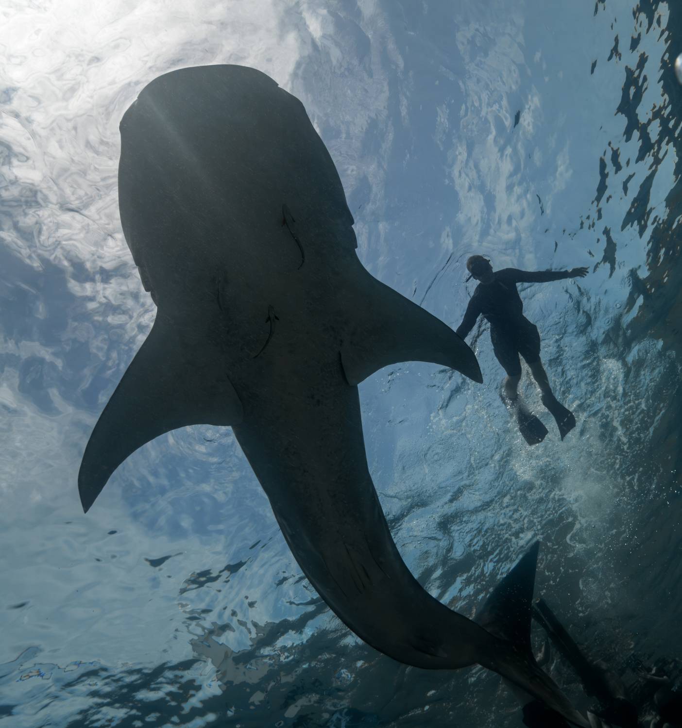 , Савин Андрей