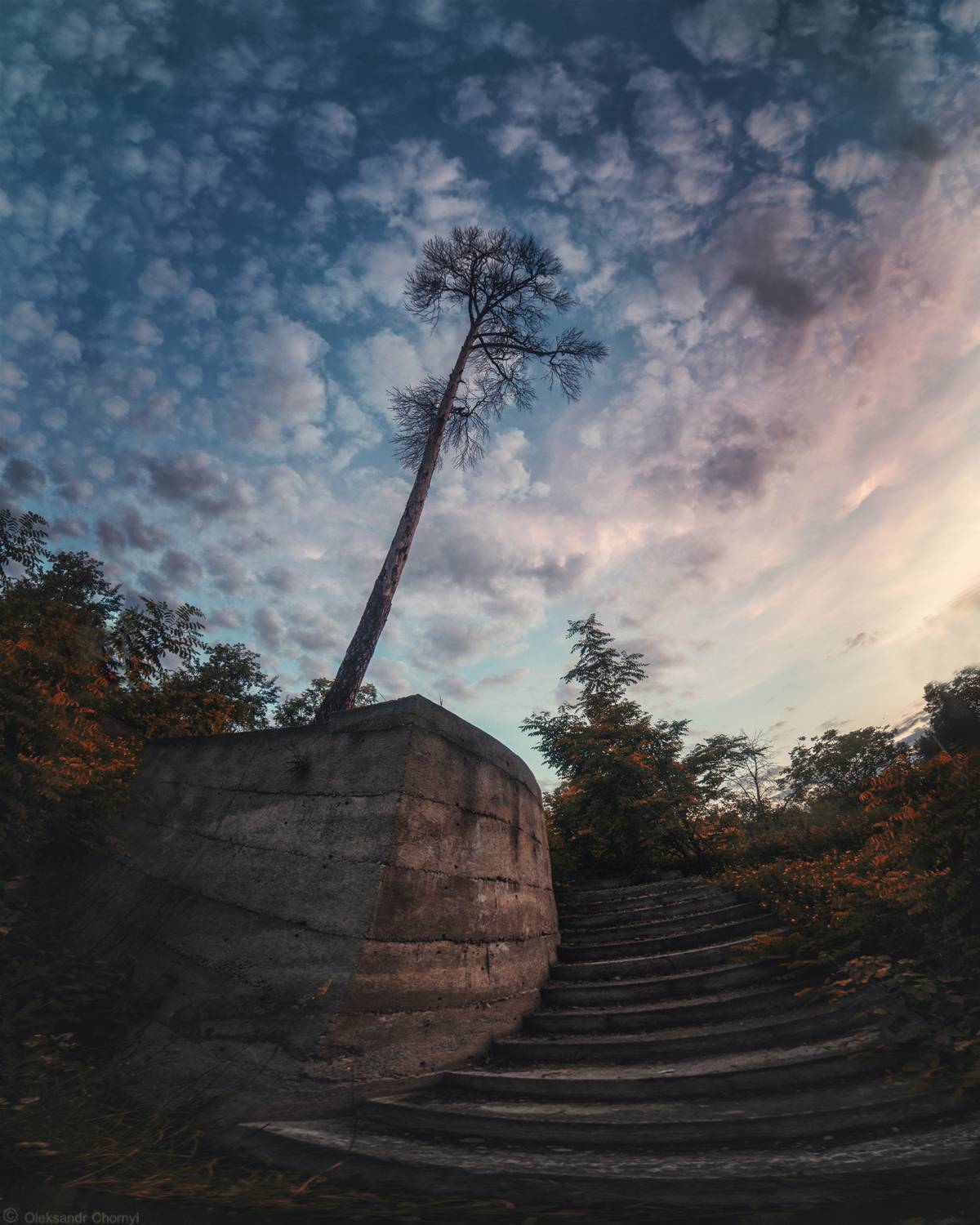 украина, коростышев, пейзаж, небо, любовью, свобода,, Чорный Александр