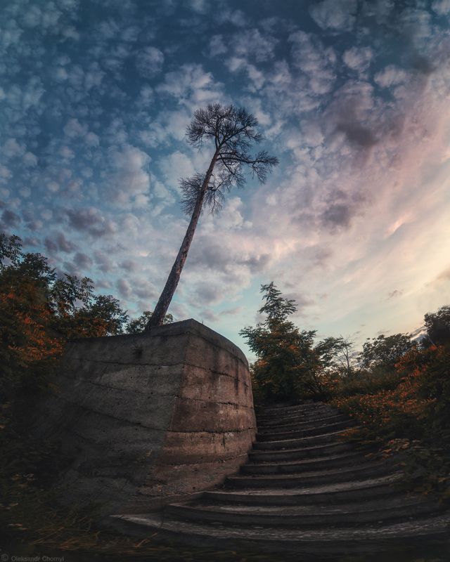 украина, коростышев, пейзаж, небо, любовью, свобода, \