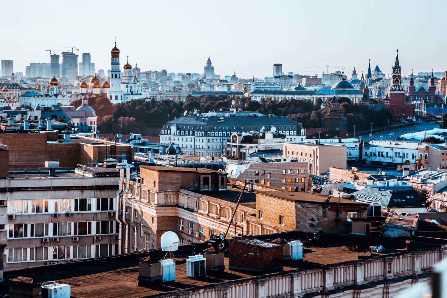 , Трепольский Дмитрий