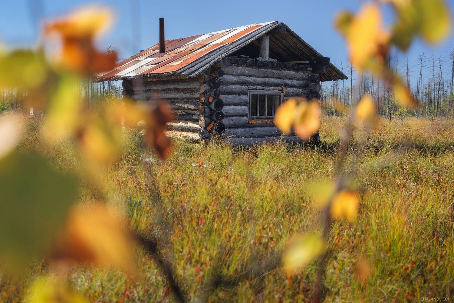 пейзаж, изба, осень, landscape, autumn, fall, hut, Чаланов Иван