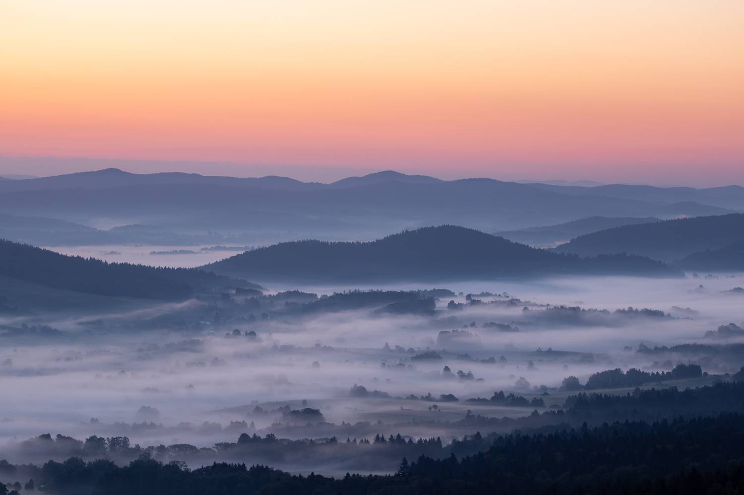 ,  Mirosław Pruchnicki