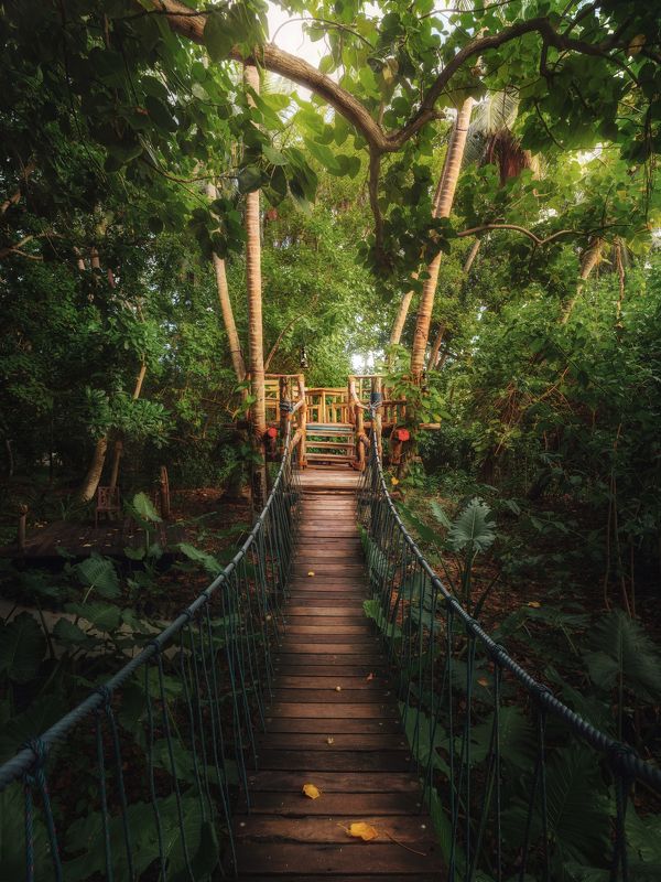 Maldives Island Life фото превью