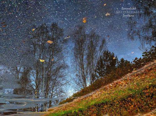 Мир, отражённый в луже...