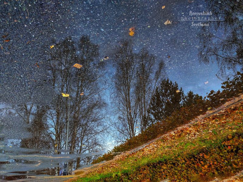 лужа, отражение, отражение в луже, пейзаж, природа, осень Мир, отражённый в луже... фото превью