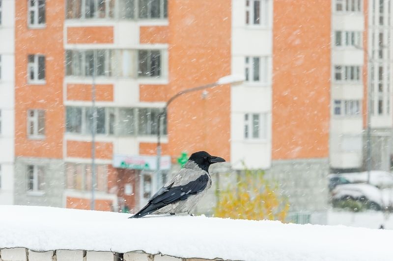 Наступают трудные времена фото превью