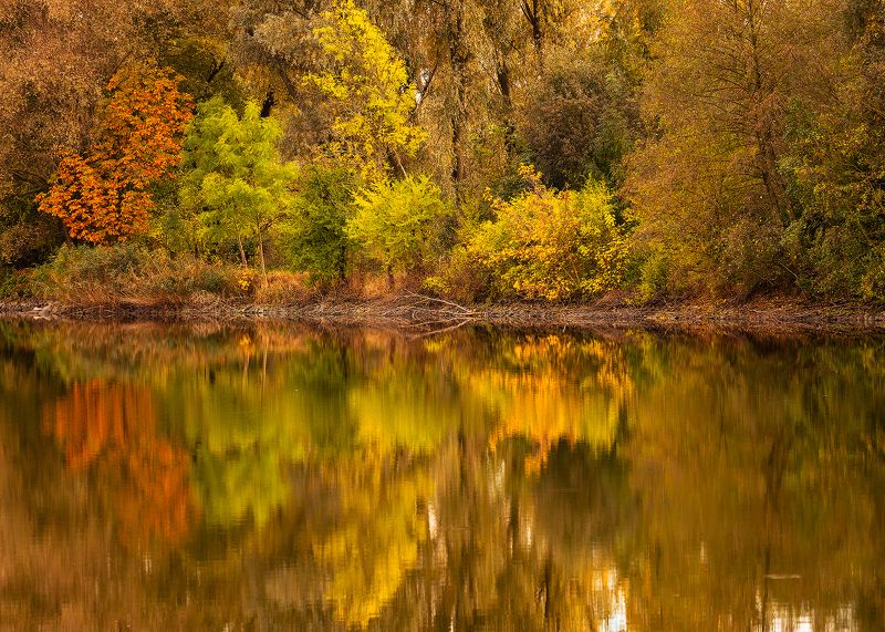 Autumn фото превью