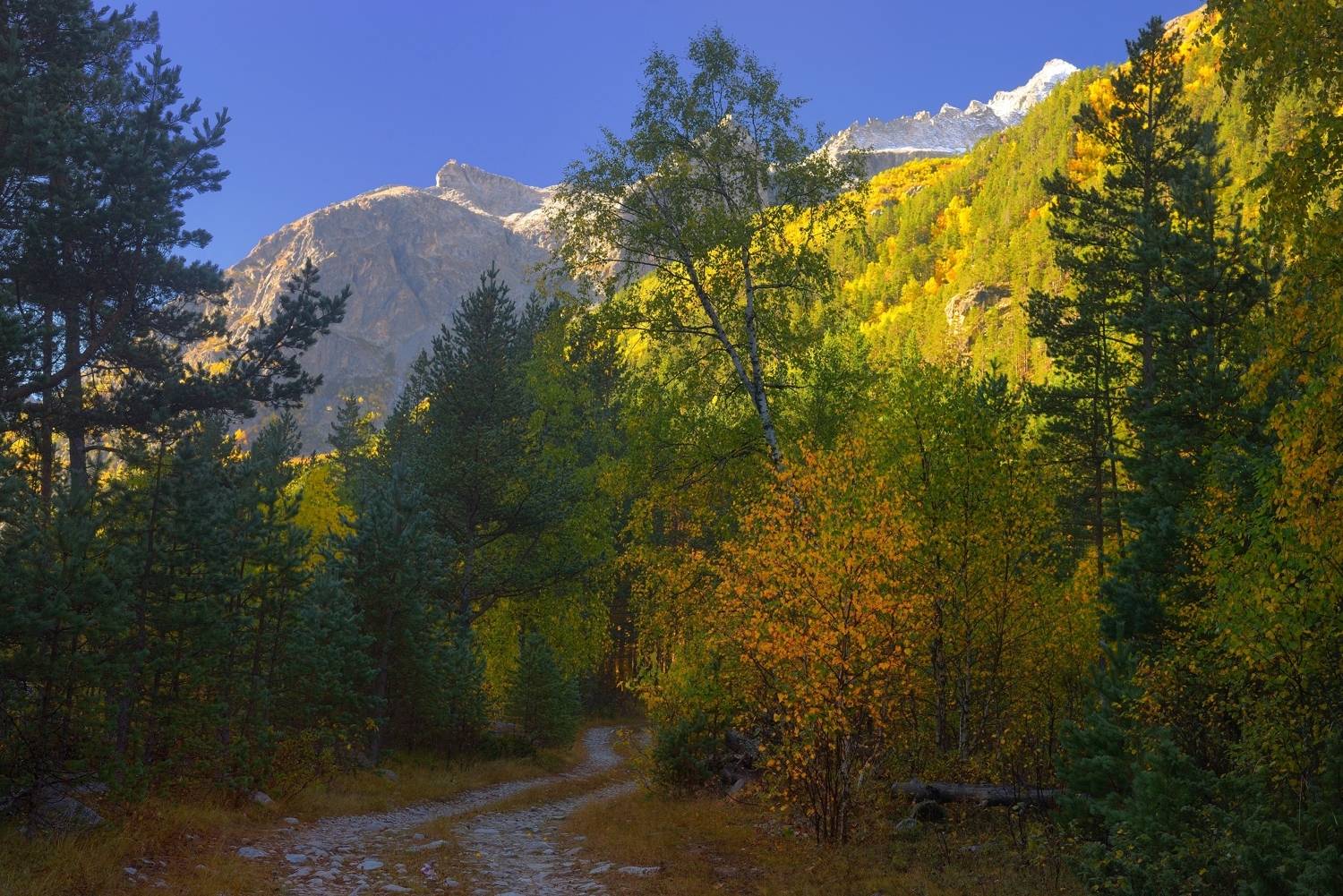 горы осень чиринкол, Александр Жарников