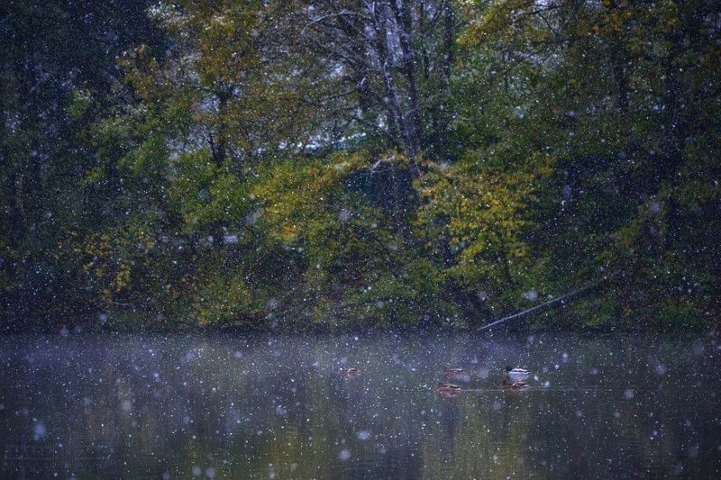 Когда лето встречается с зимой  фото превью