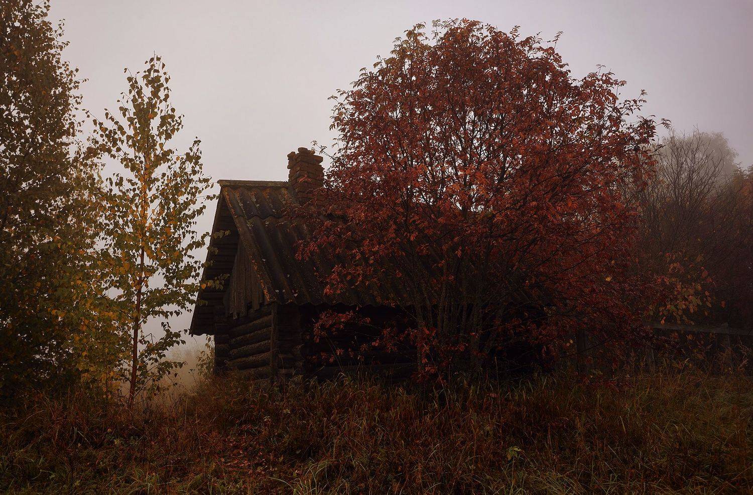 деревенское, Васенков Геннадий