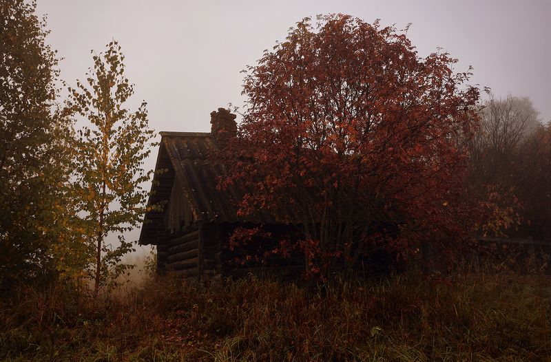 деревенское Старая баня фото превью