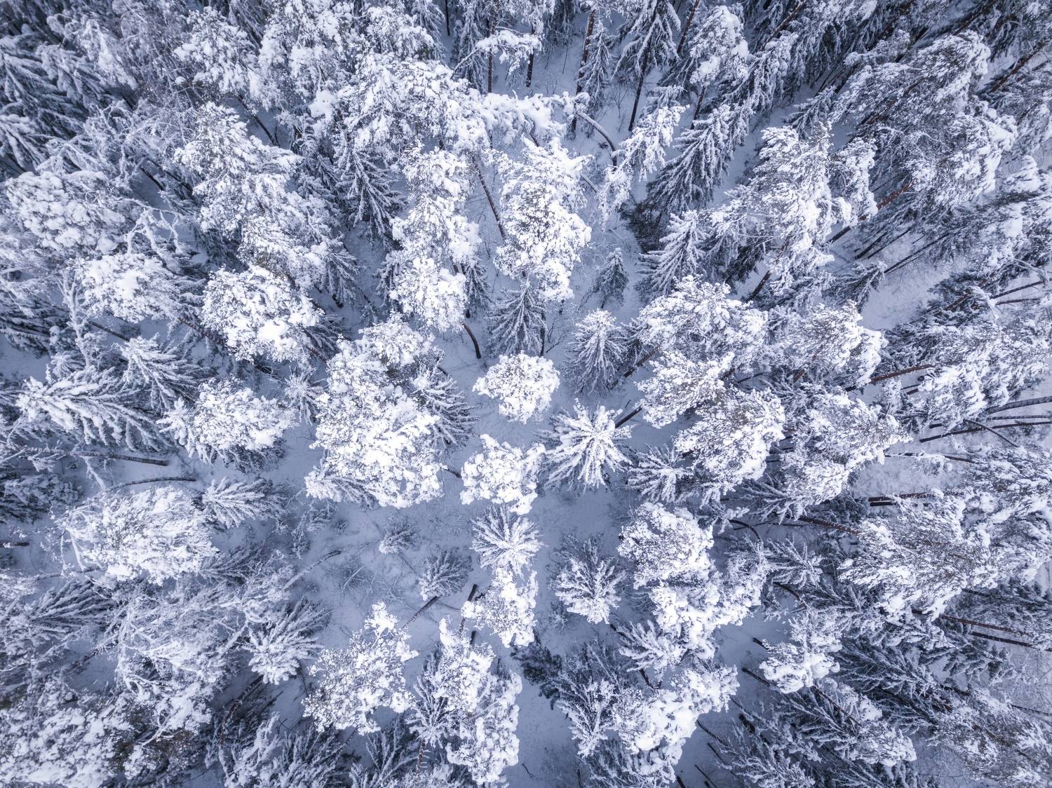 , Сергей Фаренюк