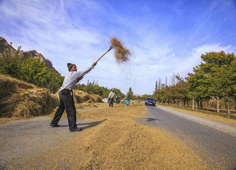 Мои любимые работы…   Страда .Чоркух. Исфара. Таджикистан. Фотография участница моей персональной выставки  в Государственном Музее Изобразительных Искусств им. Пушкина, Музейном Центре РГГУ. Москва фото превью