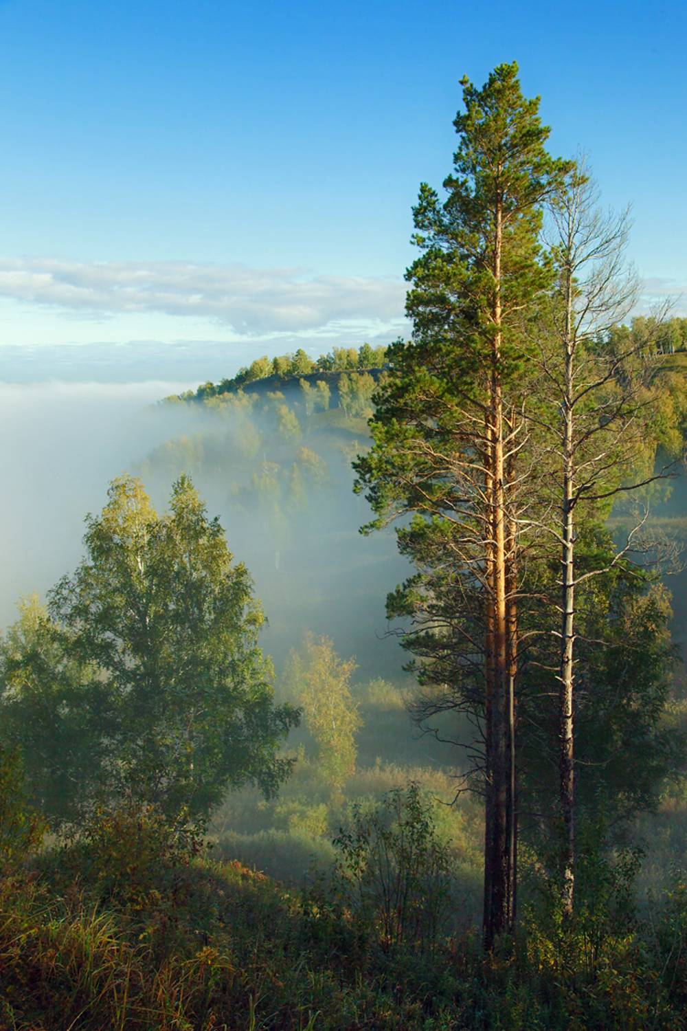 , Алексей Хахлов