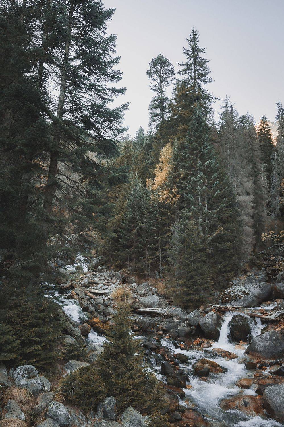 , Юрий Пужалин