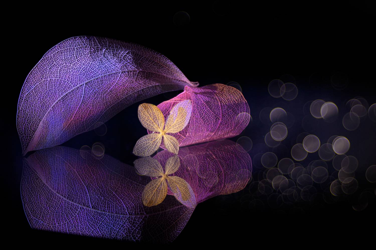 close-up, Игорь Копцев