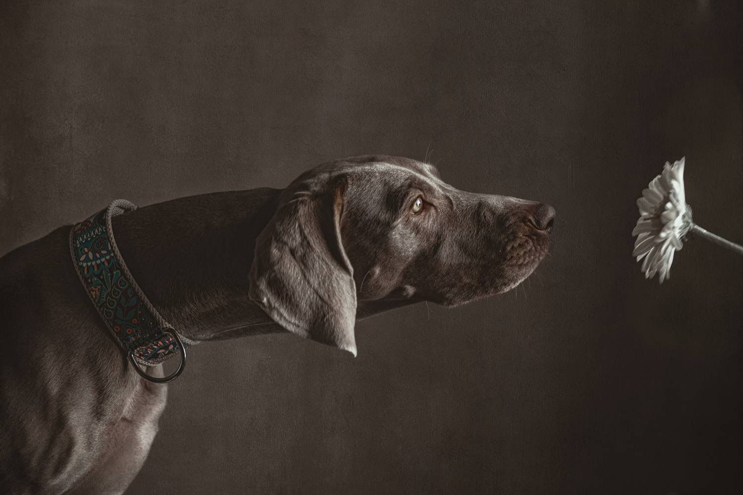 , Ященко Анастасия