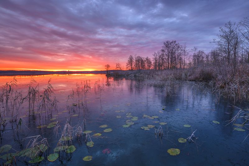 #ввашутиновсегдахорошо 100500 фото превью