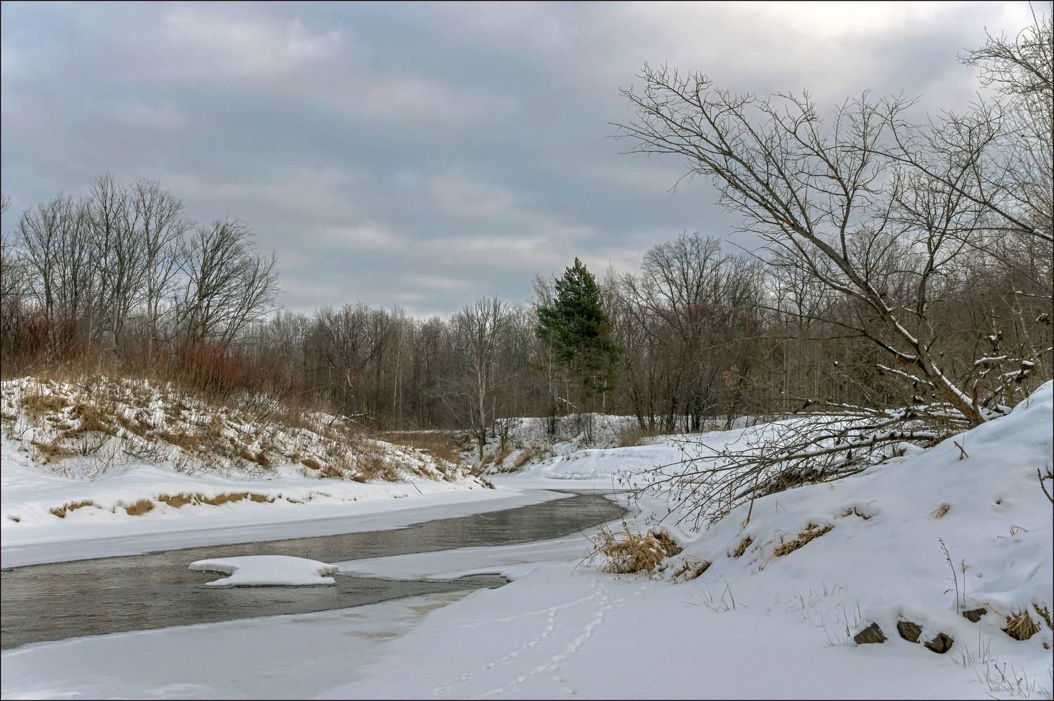 , Шитов Александр