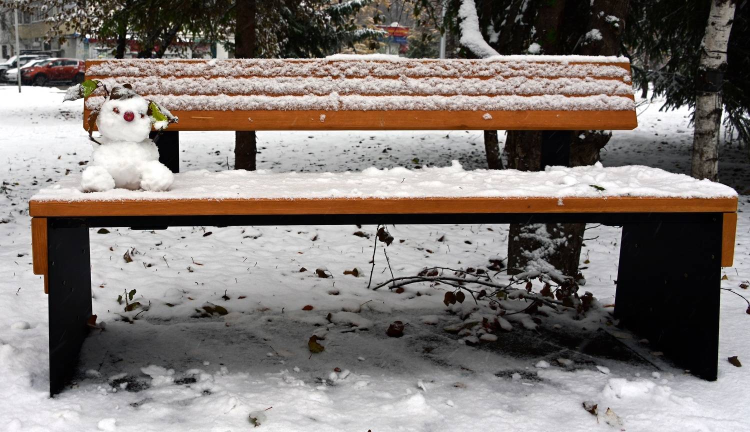 , Меднов Влад