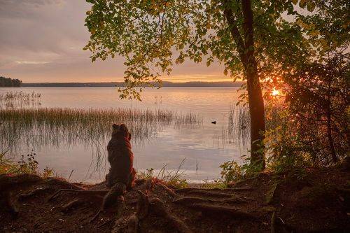 Рассвет на Валдайском озере