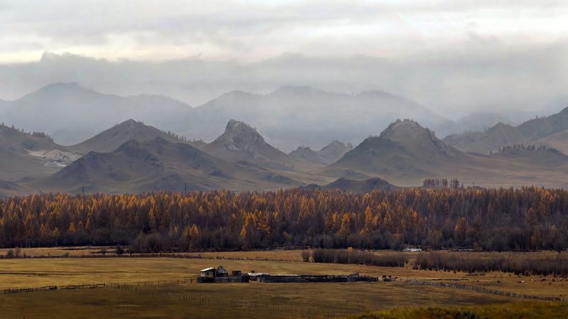 В окрестностях Усть Кана фото превью