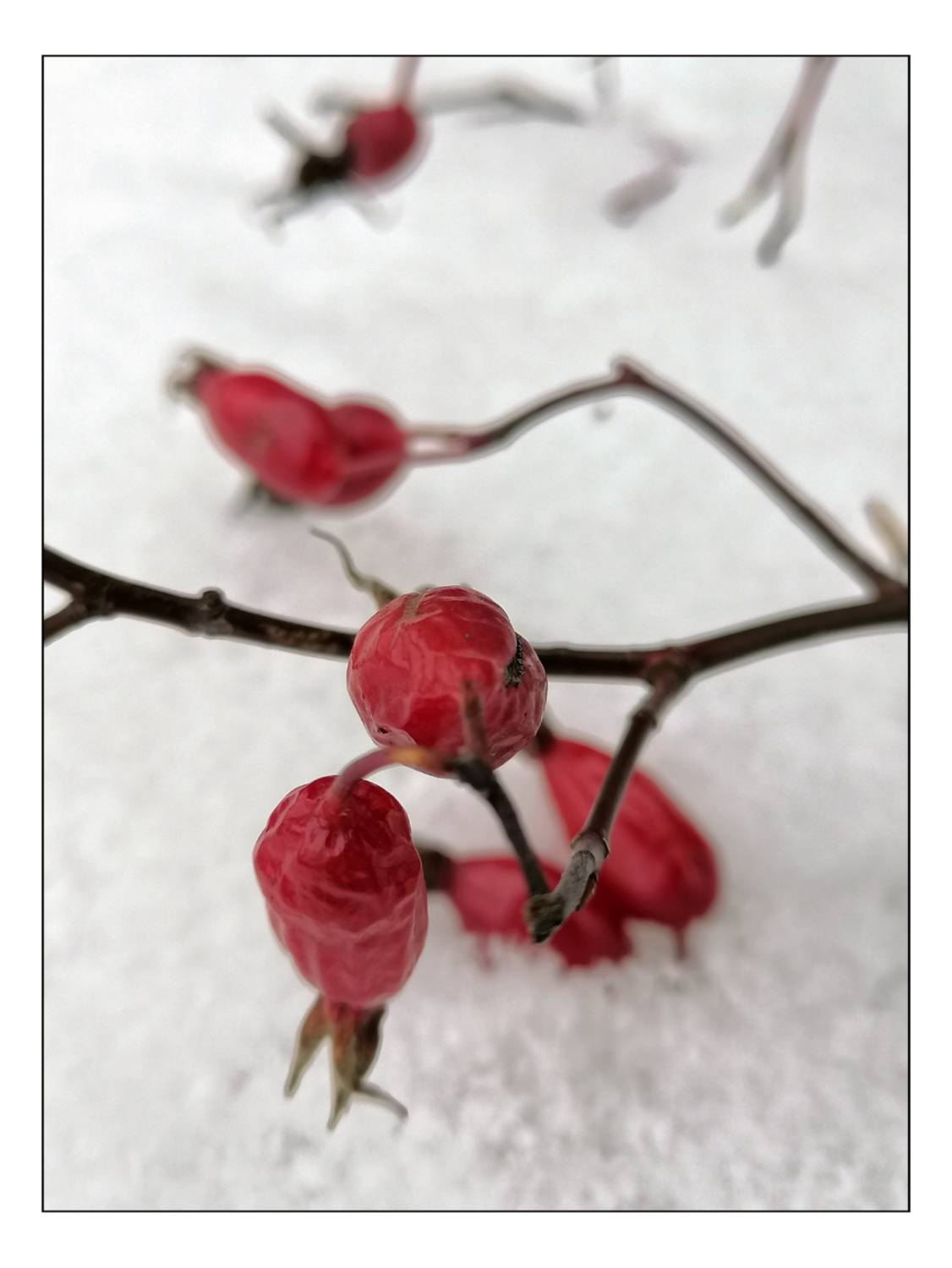 , Герасимова Алёна